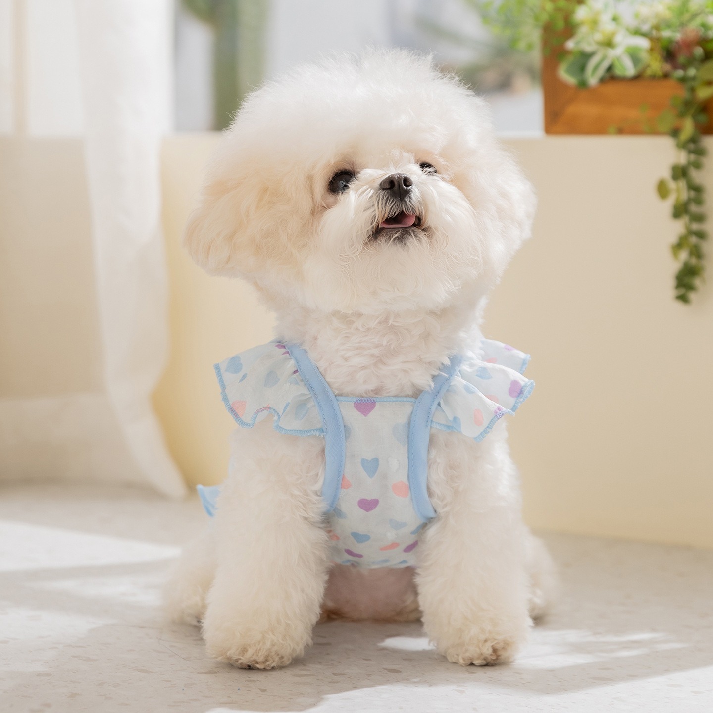 Soft Summer Yellow Clothing - Roupa Amarela para Cães: Vestido de