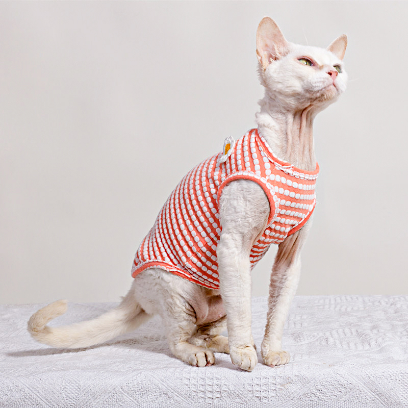 Camiseta de Verão para Gato Sp - Soft Summer Yellow Clothing avaliação e preço