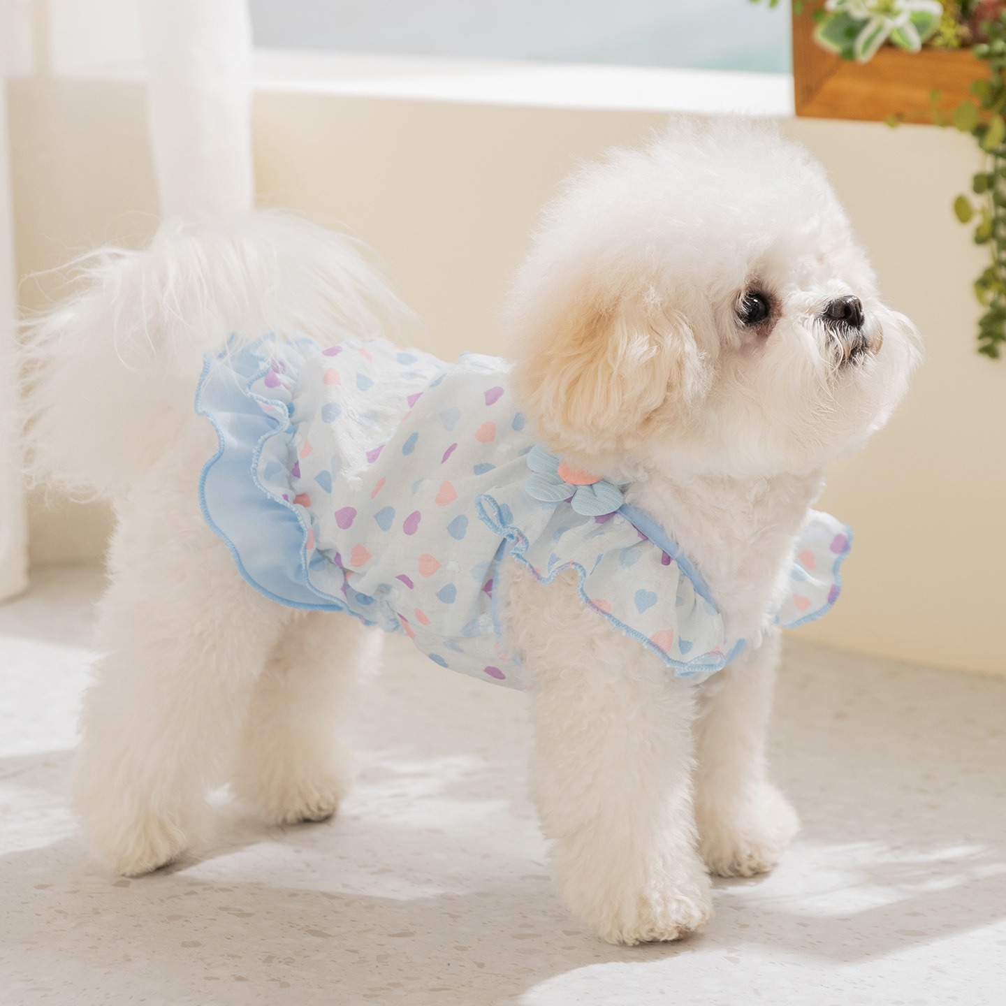 Roupa Amarela para Cães: Vesti - Soft Summer Yellow Clothing avaliação e preço